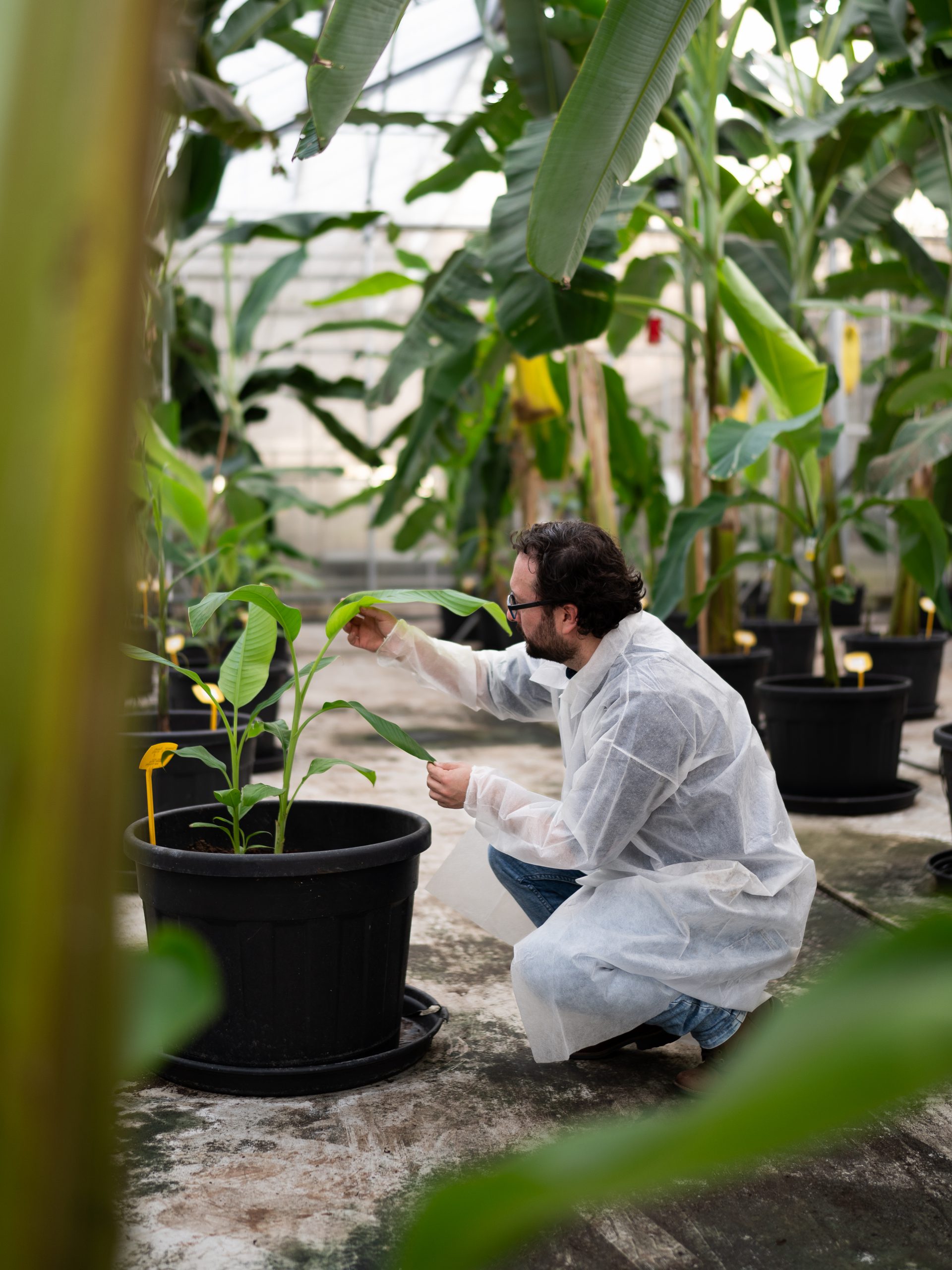 Business_Chiquita_03