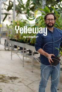 chiquita branding Yelloway